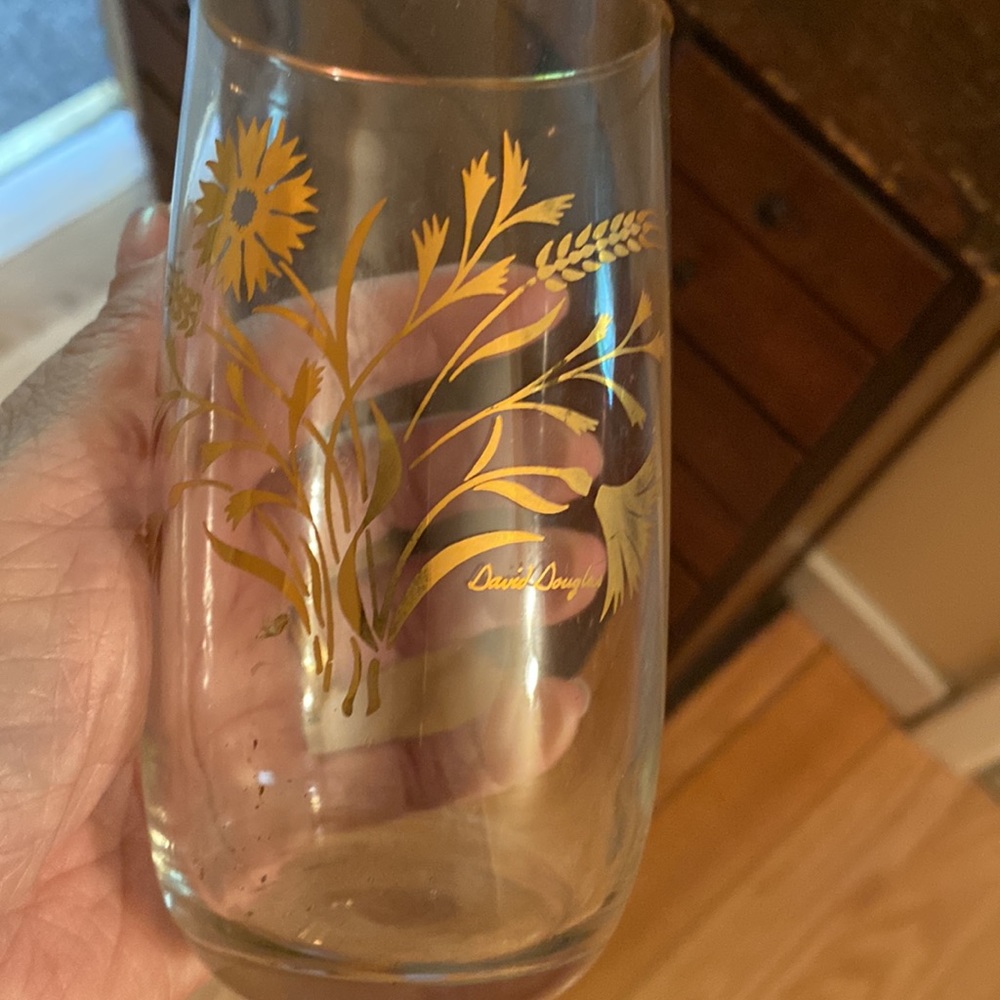 Set of 6 David Douglas glasses Gold floral wheat MCM Atomic Hollywood Regency